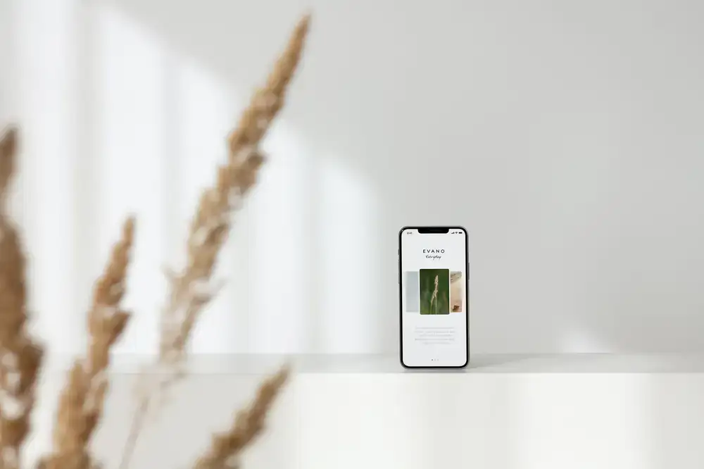 Mobile User Interface